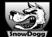 Snow Dogg Plows